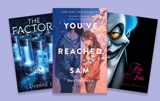 An assortment of 6th grade and up book titles 