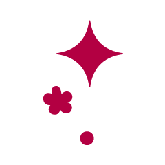 stars icon